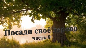 2021.04.07 Посади своё дерево часть 9 г. Новосибирск