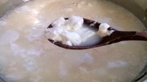 Домашний творог из молока