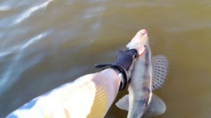 Пусть подрастает