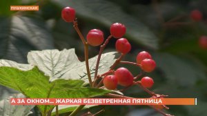 А за окном. 21 августа 2025