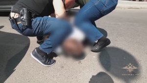 Ирина Волк: В Краснодарском крае полицейские предотвратили заказное убийство