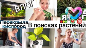 Перекрыла кислород🎈🐟. Мои находки в пятерочке, магните и фикспрайс 🛒🏪