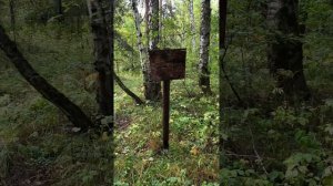 Пробуждение незаслуженное? #просветление #пробуждение #осознанность #тишина #тишинаума