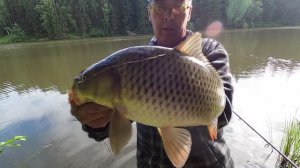 Я СДЕЛАЛ ЭТУ РЫБАЛКУ . ИЗУЧИЛ СЕКРЕТ КАК ЛОВИТЬ КАРПА .