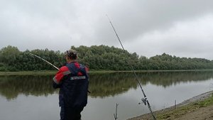 Снова подлещик.