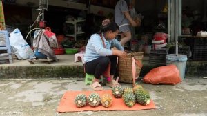Joy Bursts When Welcoming the Birth of Puppy- Harvesting Pineapples to Sell. Trieu Mai Huong