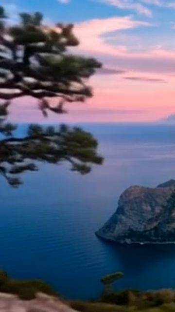 Красоты Крыма. Сосна смотреть онлайн