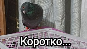 21-08-2025. Коротко...