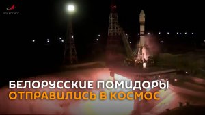 Биоспутник с белорусскими помидорами отправился на орбиту
