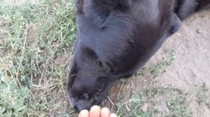 Херсонщина 21 августа 2025 года