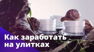 Бизнес на производстве косметики из муцина улиток. БОСС ЕСТЬ ВОПРОС