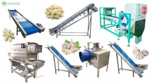 MNS-C200 200KG Automatic Continuous Garlic Cloves Peeling Processing Machine Peeler Production Line