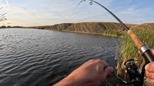 Хороший Улов на СПИННИНГ И ХАПУГУ! Коптим УЛОВ С ВИДОМ НА ЛУНУ