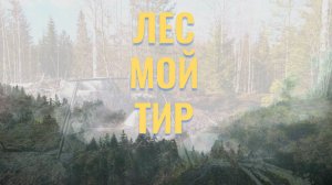 О стрелковых тренировках на природе