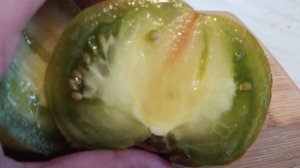 Зелёный спелый помидор! Ух!!!