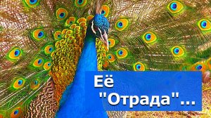 Рай в Зиминском районе! – Видеосюжет «Альтаира»