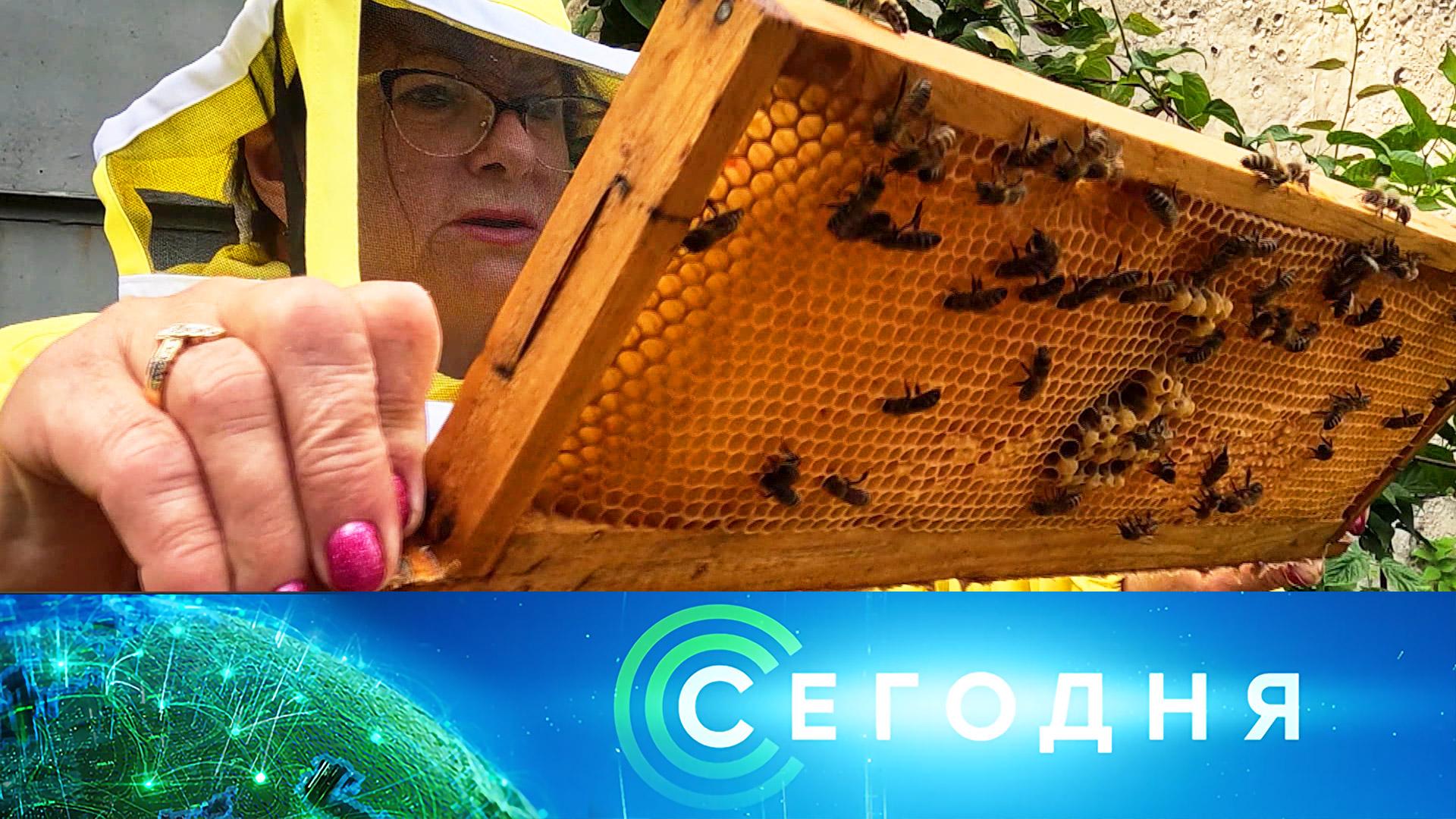 «Сегодня»: 21 августа 2025 года. 10:00 | Выпуск новостей | Новости НТВ