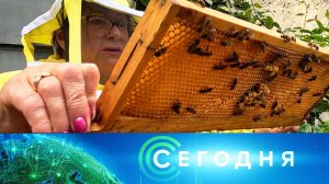«Сегодня»: 21 августа 2025 года. 10:00 | Выпуск новостей | Новости НТВ