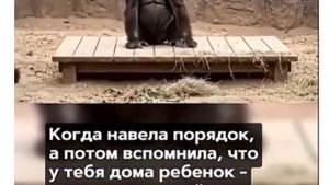 Усталая мамочка. Все как у людей,