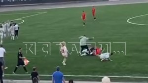 В финале детского турнира по футболу родители башкирских футболистов подрались с нижегородскими