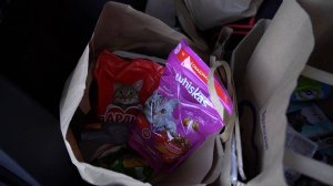 ПОМОЩЬ БРАТЬЯМ НАШИМ МЕНЬШИМ