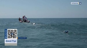 Уроки по спасению дельфинов провели сахалинские специалисты в Сочи