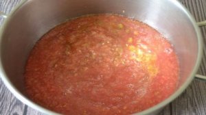 Домашняя аджика из помидоров без варки