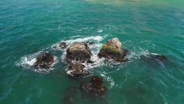 Сессия с психологом: Как притянуть благоприятные события и изменить свою жизнь к лучшему