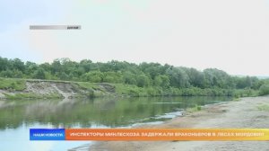 Инспекторы Минлесхоза задержали браконьеров в лесах Мордовии