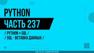 Python - 237 - Python + SQL - SQL - Вставка данных