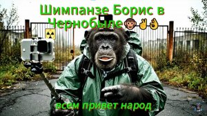 "Шимпанзе Борис в Чернобыле 🐒 | Смешное видео 2025 | Приколы, мемы и исследования зоны отчуждения"