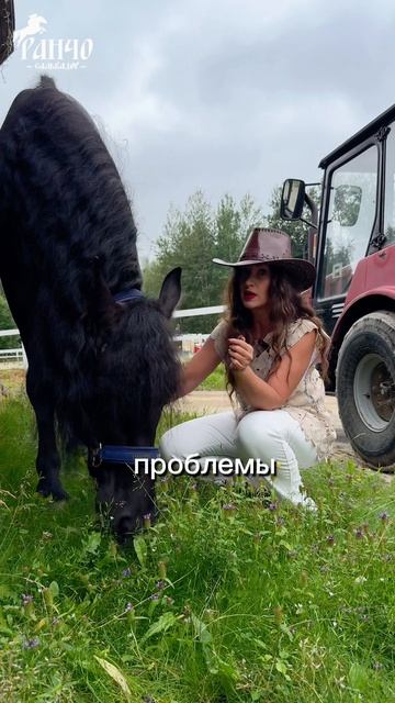 5 признаков, что вам срочно нужно на тренинг по ипповенции смотреть онлайн