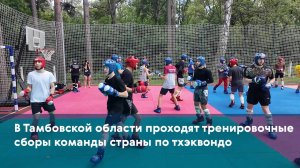 В Тамбовской области проходят тренировочные сборы команды страны по тхэквондо