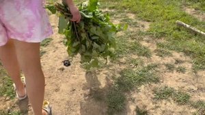 Мараловая ферма 20.08