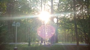 Что творится на форсакен рп в роблокс.