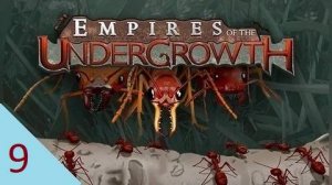 Empires of the Undergrowth 9