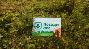 Агроуход в Вологодской области 21 июля 2025 года