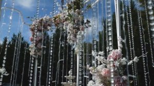 Видео свадьба короткое