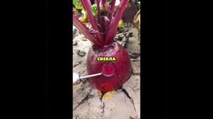 Психология .mp4