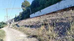 Прогулка к морю и обратно! (Голубая дача) 13.08.2025