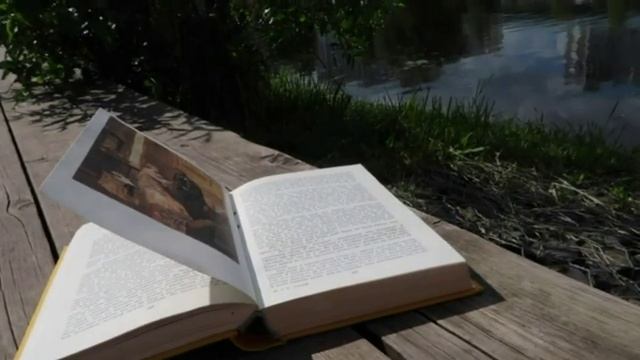 Какое счастье просто жить.. смотреть онлайн