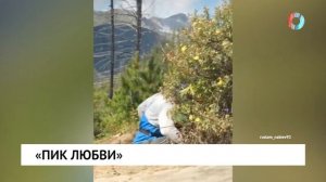 «Пик любви»