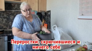 Распаковка и маринованные груши