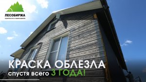 Почему фасад служит дольше — простая техника шлифовки ✨