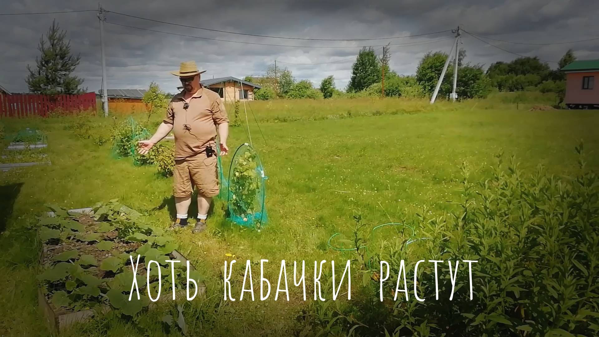 05.07.2025 Хоть кабачки растут.