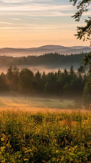 Пусть утро всем нам дарит вдохновенье