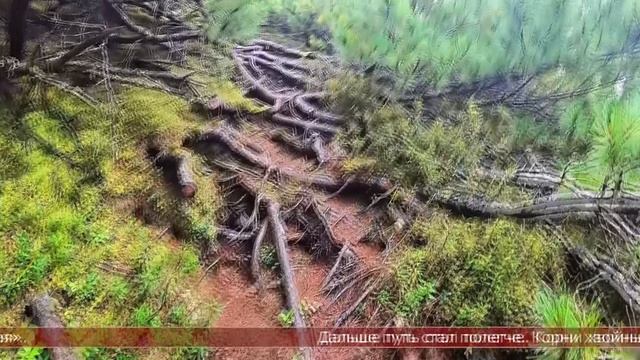 21.08.2025 Сахалинские блоги. NASHOSTROV. Сахалин- уникальное место