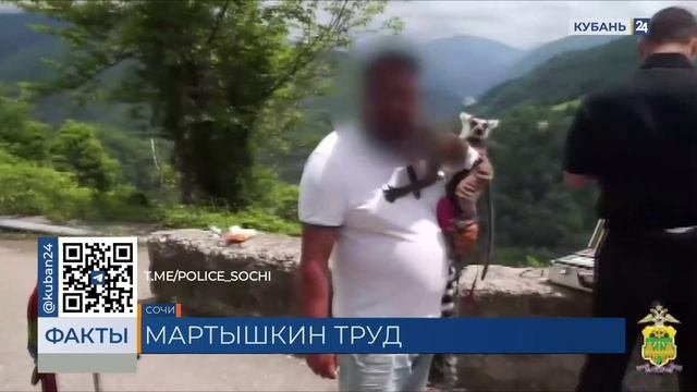 С начала курортного сезона более 40 зоофотографов оштрафовали на Кубани