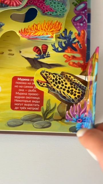 ТГ-канал malamalama_ru смотреть онлайн