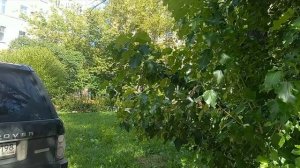 Питер Метро Выборгская и район вокруг